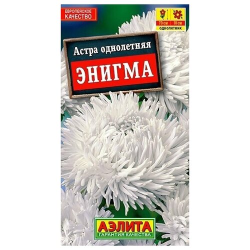 Астра "Энигма"