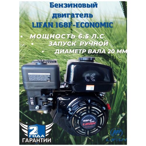 Бензиновый двигатель LIFAN 168F-2 Eco D19