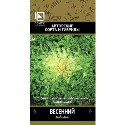 Эндивий Весенний (А) 590815 фото