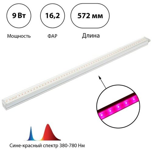 ЭРА Фитосветильник светодиодный