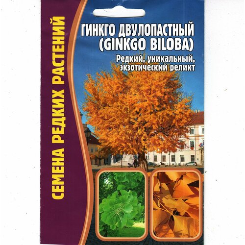 Гинкго двулопастный / Ginkgo biloba