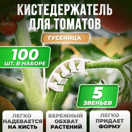 Кистедержатель для томатов улитка 100 штук / Клипсы для опоры и поддержки кистей / Держатель для растений Россия фото