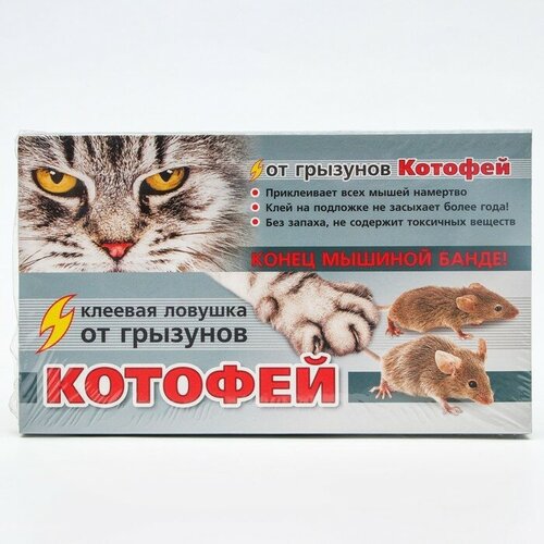 Клеевая ловушка Котофей