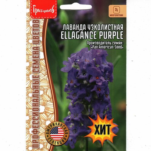 Лаванда узколистная компактная/ ELLAGANCE PURPLE ( 1 уп : 5 семян ) фото