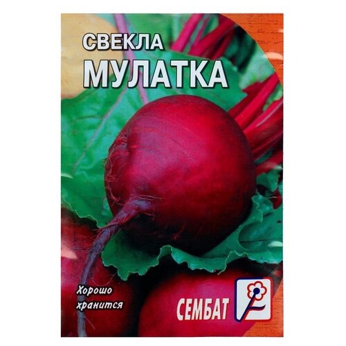 Набор семян СЕМБАТ Свекла Мулатка 2 г фото