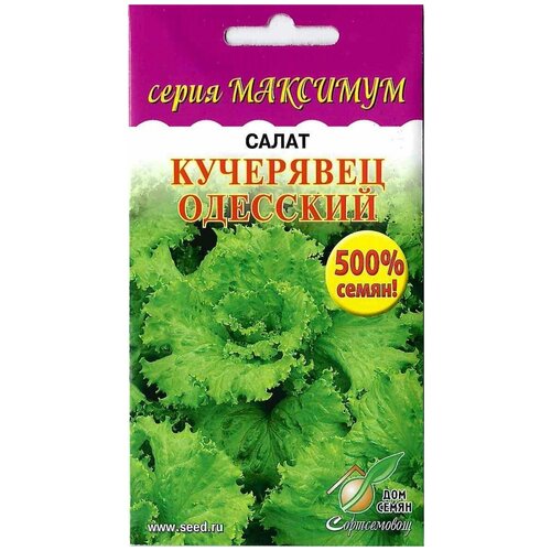 Салат Кучерявец Одесский (серия Максимум)