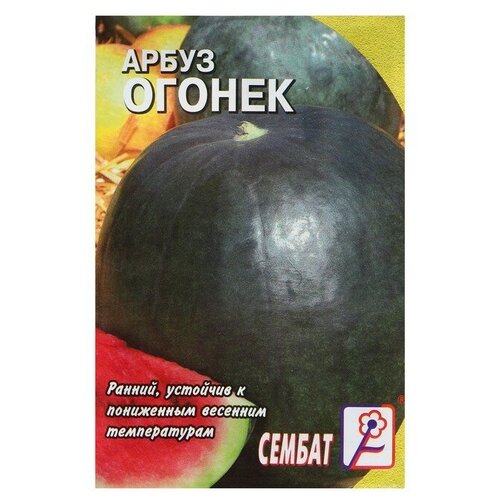 Семена Арбуз "Огонек"