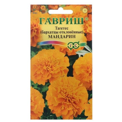 Семена Гавриш Бархатцы отклоненные Мандарин (Тагетес) 0