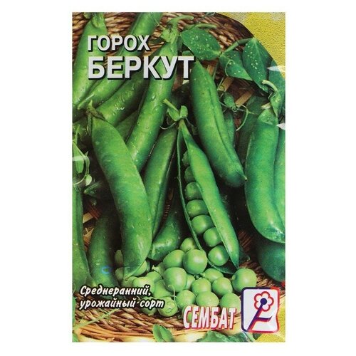 Семена Горох "Беркут"