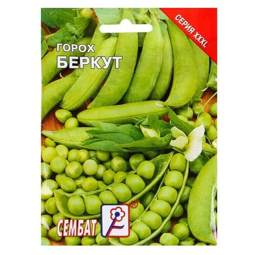 Семена ХХХL Горох "Беркут"