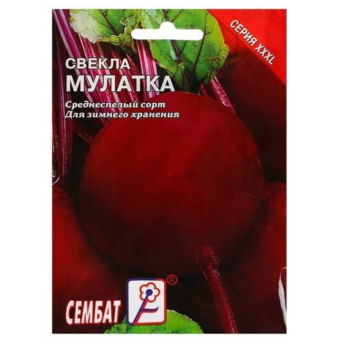 Семена ХХХL Свекла "Мулатка"