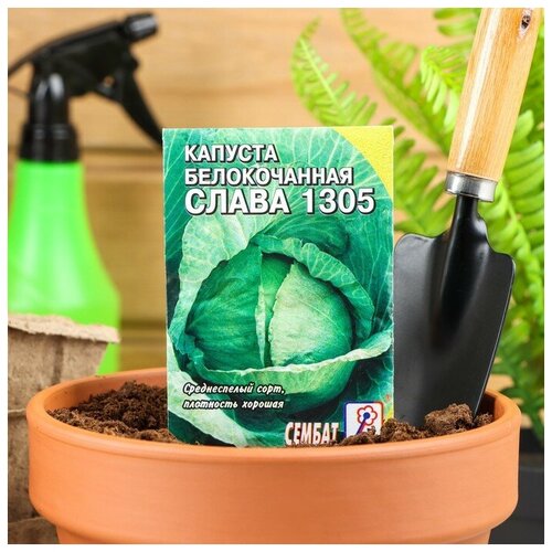 Семена Капуста белокачанная "Слава 1305"