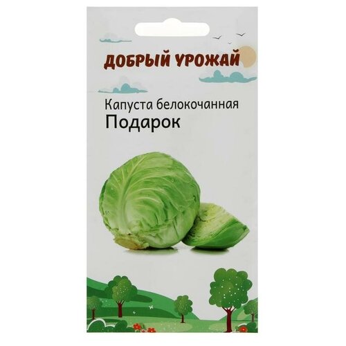Семена. Капуста белокочанная среднеспелая "Подарок" фото