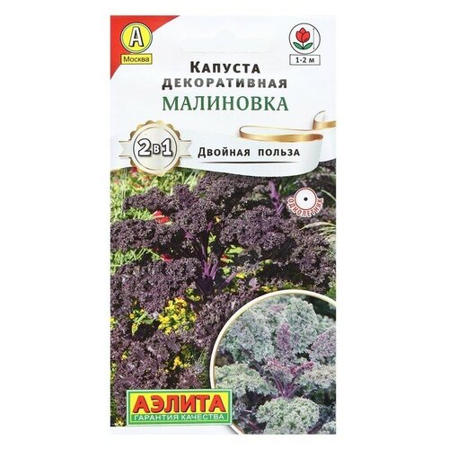 Семена. Капуста декоративная "Малиновка" от тёмно-красной до тёмно-фиолетовой (вес: 0.3 г) фото