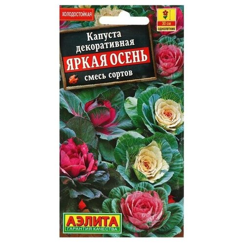 Семена. Капуста декоративная "Яркая осень"