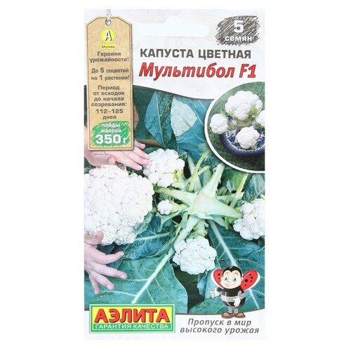 Семена. Капуста цветная "Мультибол F1" (5 штук) фото
