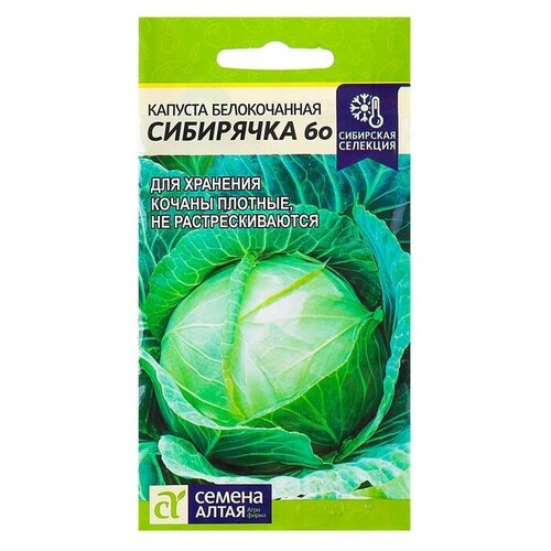 Семена Капусты белокочанной "Сибирячка 60"
