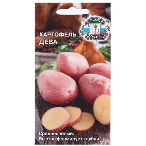Семена картофель Дева
