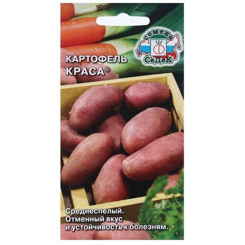 Семена Картофель "Краса "0.02 г фото
