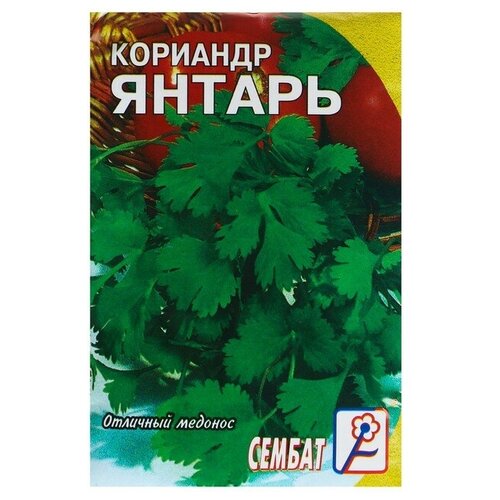 Семена Кориандр "Янтарь"