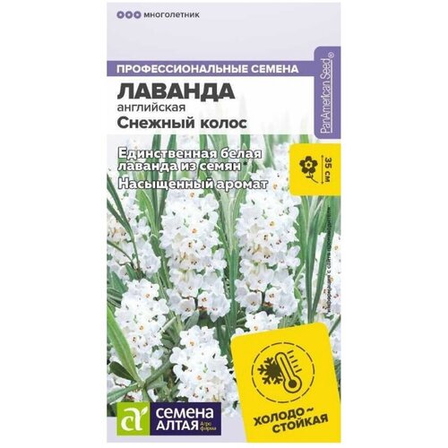 Семена Лаванды английской "Снежный колос" (5 семян) фото