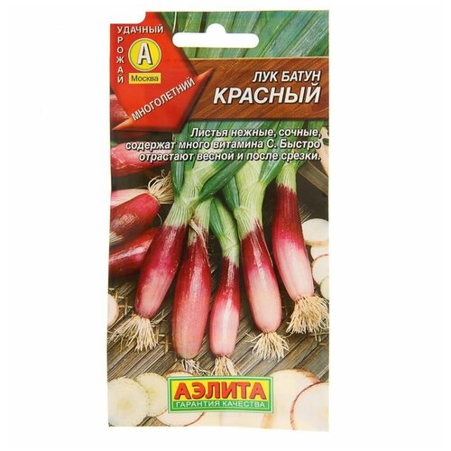 Семена Лук батун "Красный"