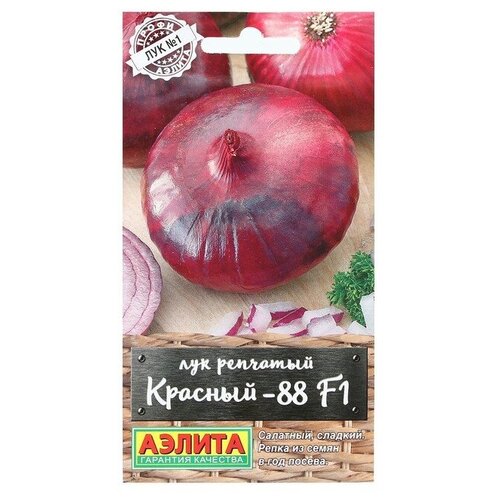 Семена Лук репчатый Красный-88