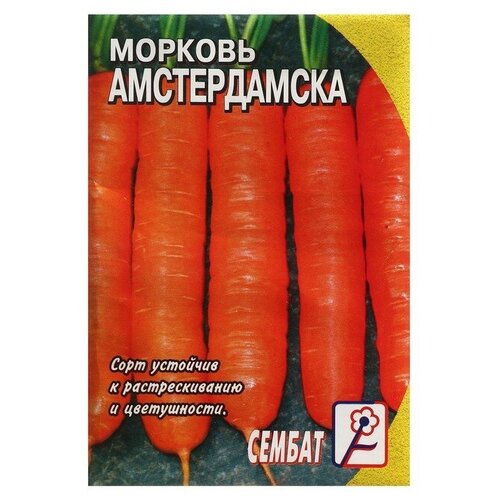 Семена Морковь "Амстердамска"