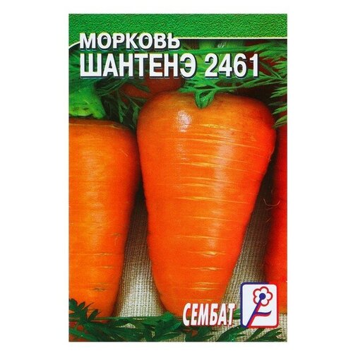 Семена Морковь "Шантенэ 2461"