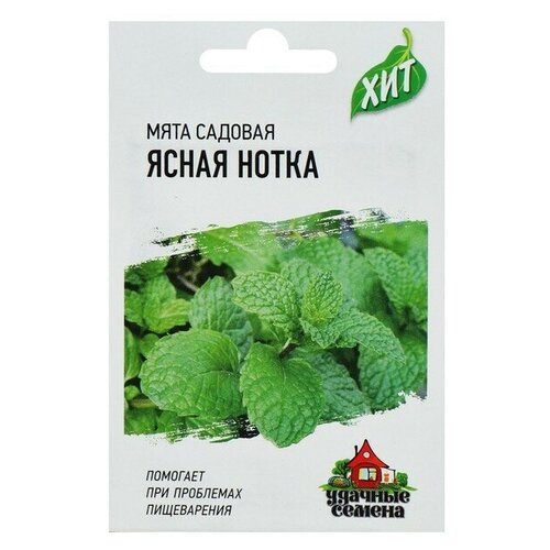 Семена Мята садовая "Ясная нотка"