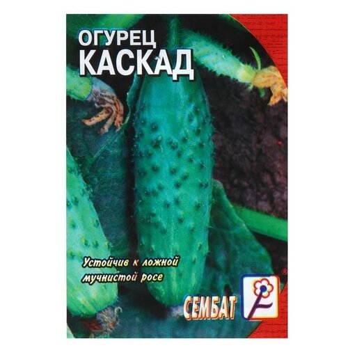 Семена Огурец "Каскад"