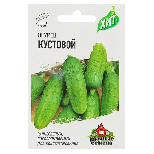 Семена Огурец "Кустовой"