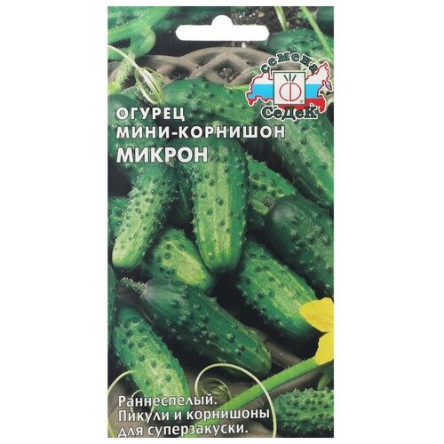 Семена Огурец "Микрон" 0