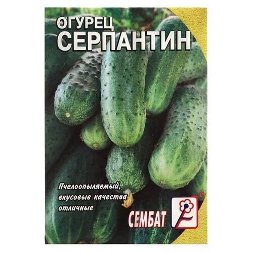 Семена Огурец "Серпантин"