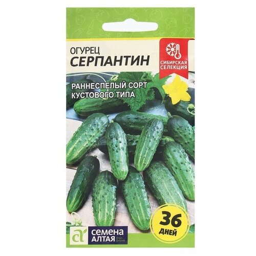 Семена Огурец "Серпантин"