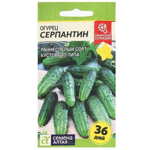 Семена Огурец "Серпантин"