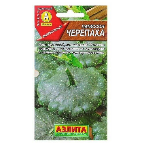 Семена Патиссон 'Черепаха'