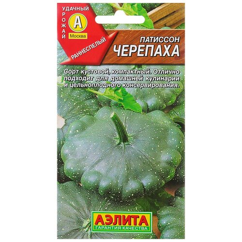 Семена Патиссон "Черепаха"