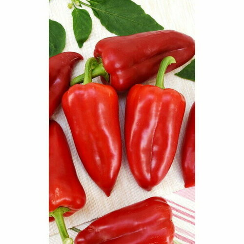 Семена Перец сладкий Сибирский богатырь (УД) Е/П фото