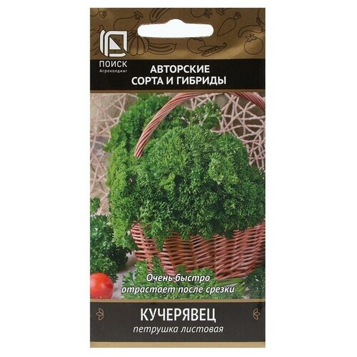 Семена Петрушка "Кучерявец" 3 г фото