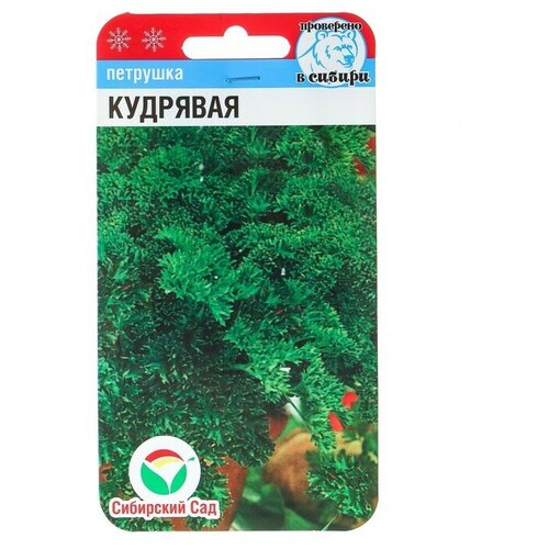 Семена Петрушка "Кудрявая"