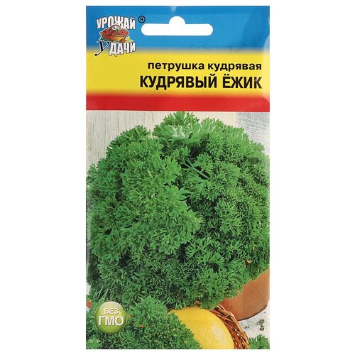 Семена Петрушка Кудрявая "кудрявый ёжик"