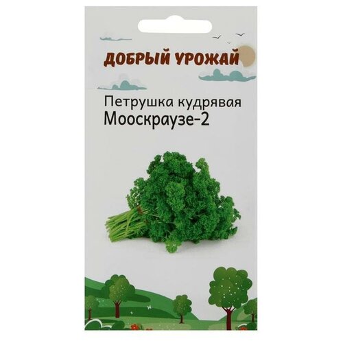 Семена Петрушка кудрявая Мооскраузе 1 гр фото