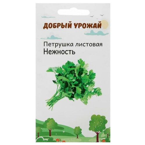 Семена Петрушка Нежность 1 г фото