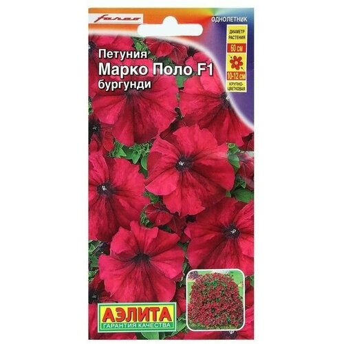 Семена Петуния "Марко Поло" F1 бургунди