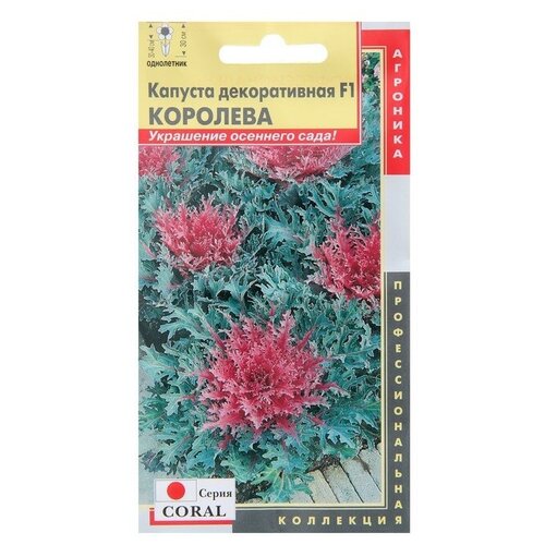Семена Плазменные Семена Coral Капуста декоративная Королева F1 5 шт. фото