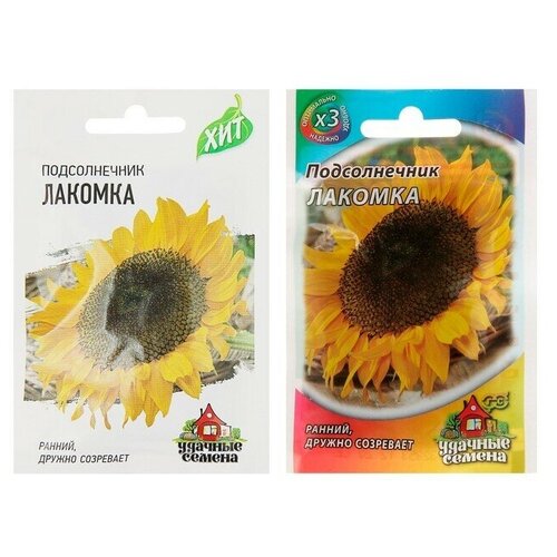 Семена Подсолнечник "Лакомка"