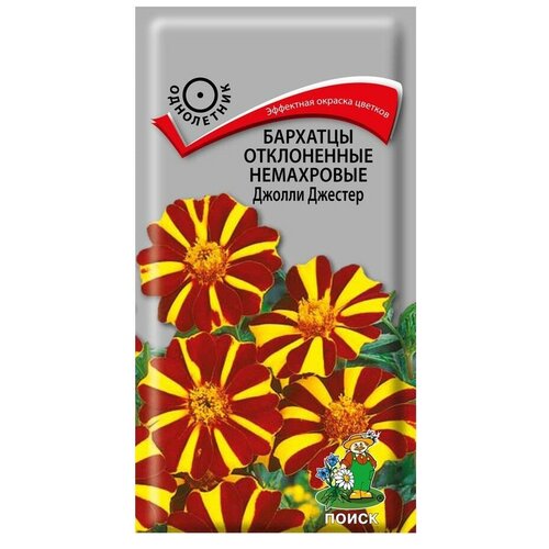 Семена ПОИСК Бархатцы отклоненные немахровые Джолли Джестер 0.2 г