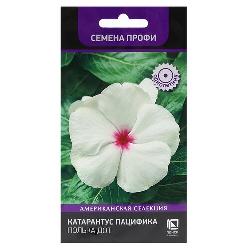 Семена ПОИСК Катарантус Пацифика Полька Дот 10 шт фото