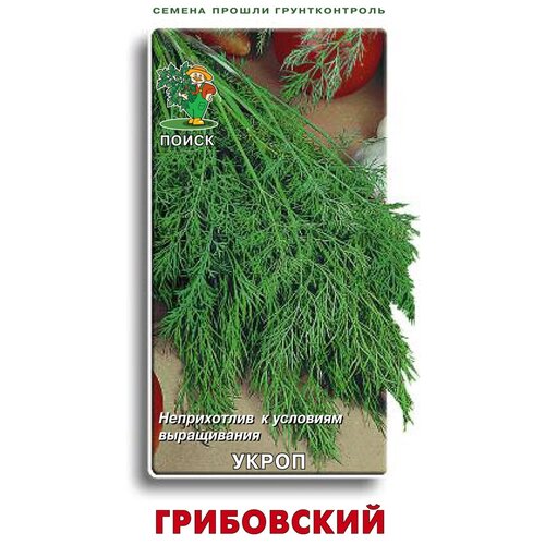 Семена Поиск Укроп Грибовский